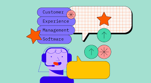 client-focused software solutions