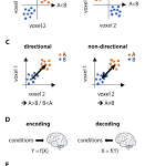 univariate statistics