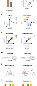 univariate statistics