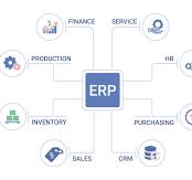 erp software development