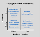 corporate growth strategy