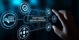 tailored software development