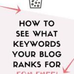 seo ranking checker