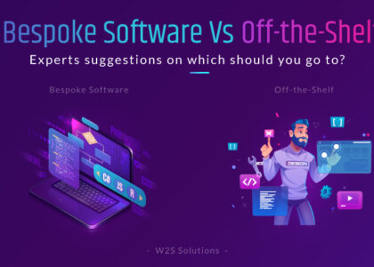 bespoke application software