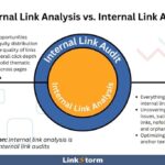 seo link analysis
