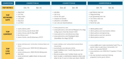 seo competition analyzer
