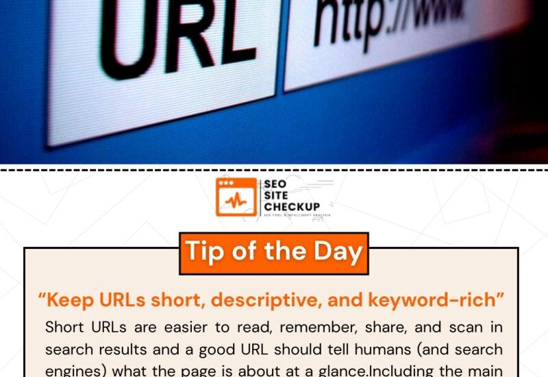 seo site checkup online