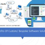 customized software solutions