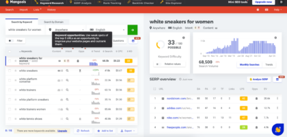 seo site keyword analysis