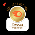 free seo audit of website