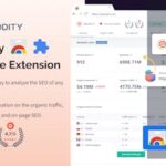 website and seo analysis chrome