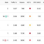 check website seo keywords