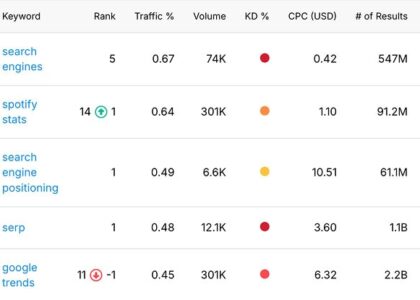 check website seo keywords