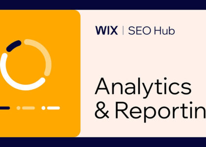 seo and web analytics