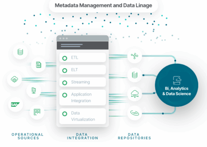 seo management and analytics
