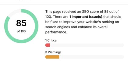 web page seo check