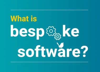 bespoke software