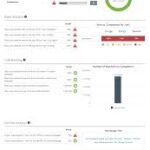 check seo