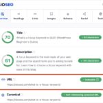 check the seo of a website