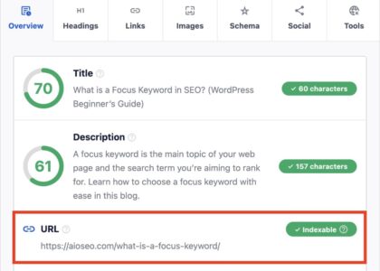 check the seo of a website