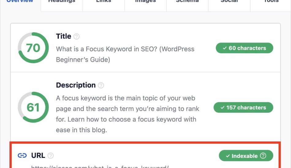 check the seo of a website