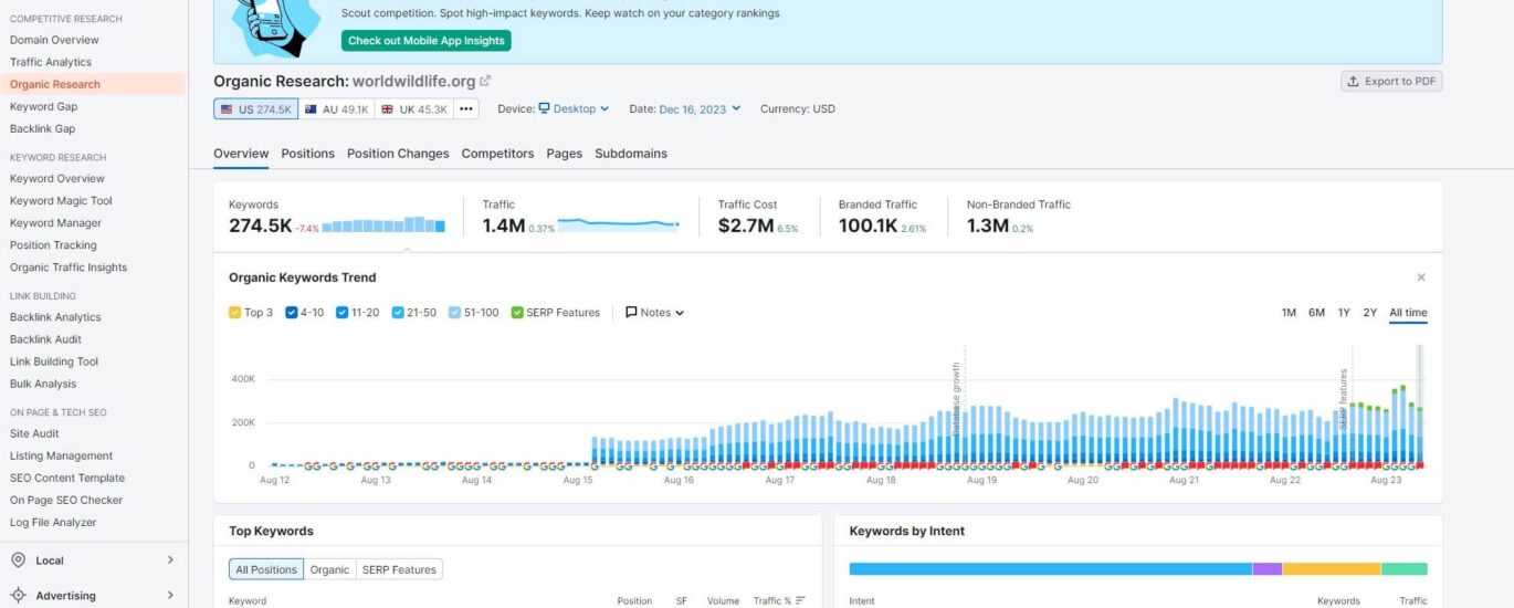 seo content analyzer