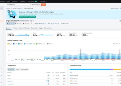 seo content analyzer