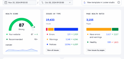 seo report of website