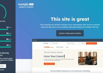 website audit
